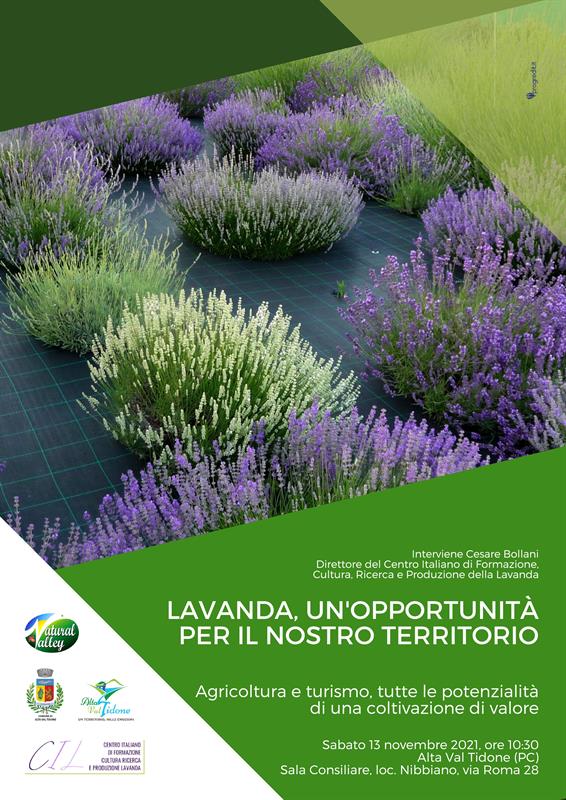 Prospettive di coltivazione di Lavanda nell'appennino piacentino Prospettive di coltivazione di Lavanda nell'appennino piacentino
