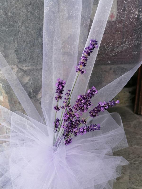 Primo matrimonio con la nuova lavanda