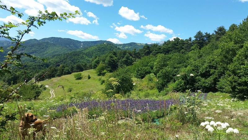 panorama al Col di Nava
