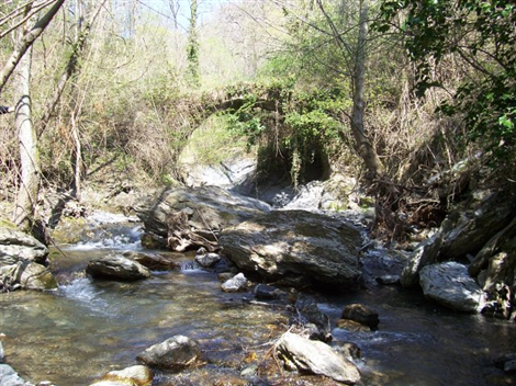 Armo ponte romano