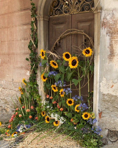 Cosio di Arroscia centro storico
