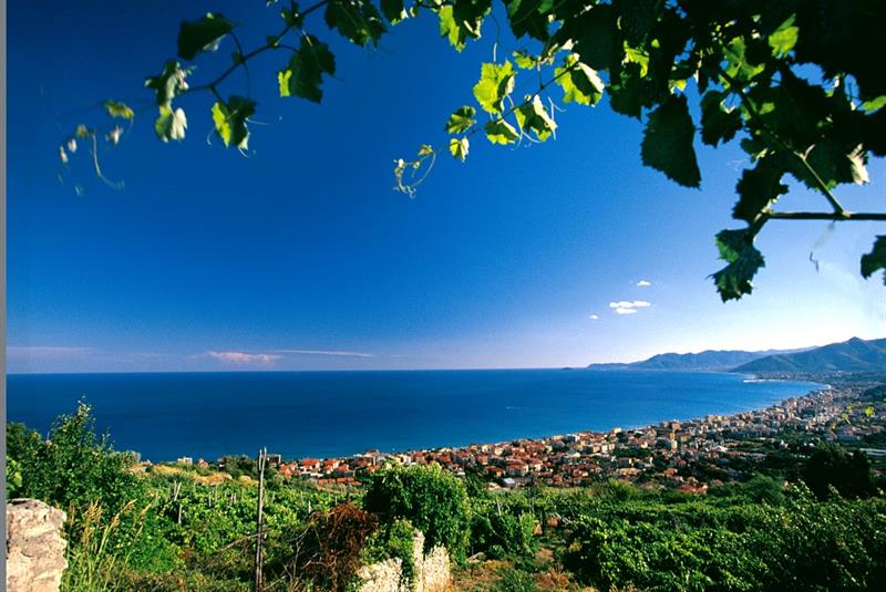 Il comune di Pietra Ligure aderisce al progetto Lavanda Riviera dei Fiori Il comune di Pietra Ligure aderisce al progetto Lavanda Riviera dei Fiori