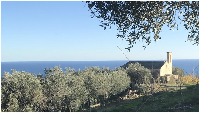 panorama