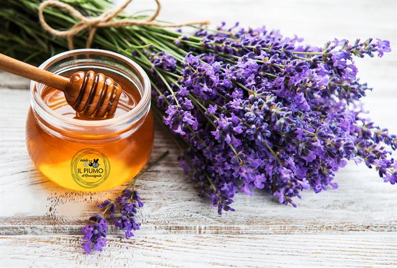 Un assaggio di Natura