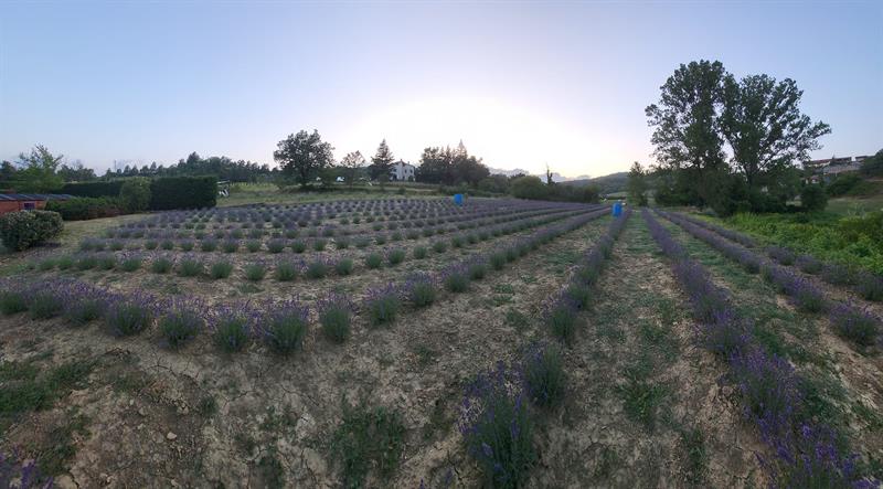 Esperienze gastronomiche 