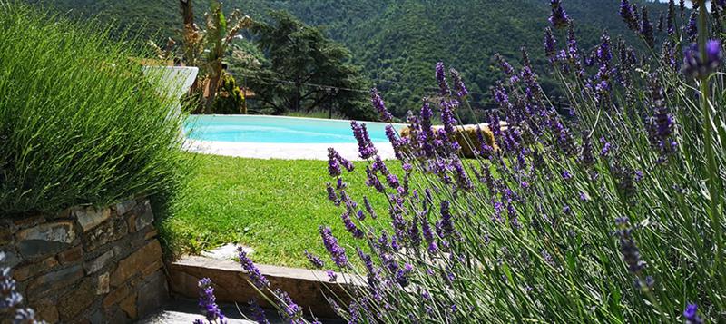 Esperienza Gastronomica