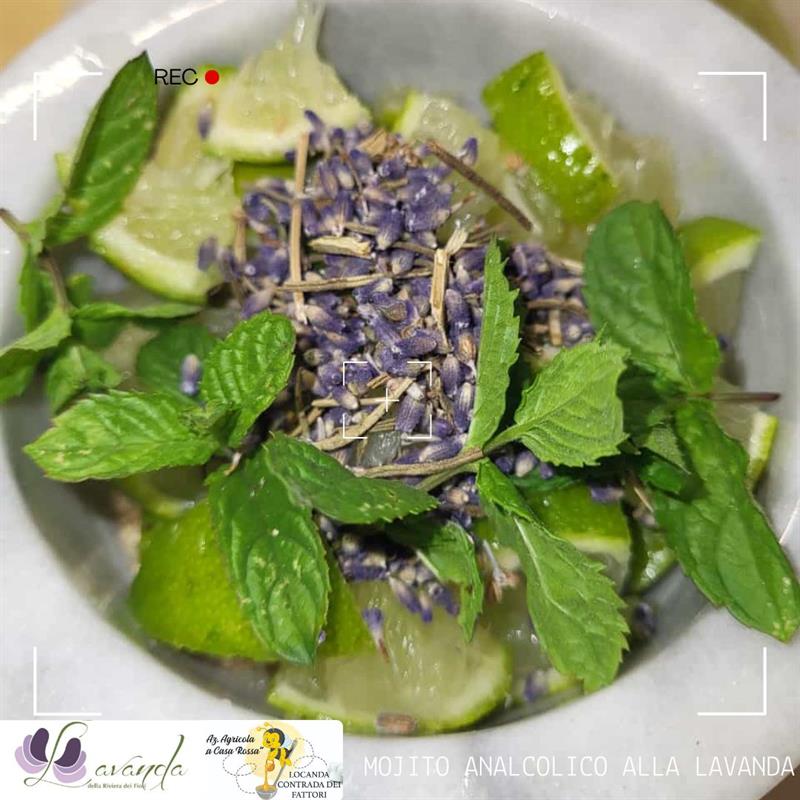Mojto analcolico alla lavanda