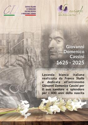 Una lavanda bianca dedicata a Cassini Una lavanda bianca dedicata a Cassini